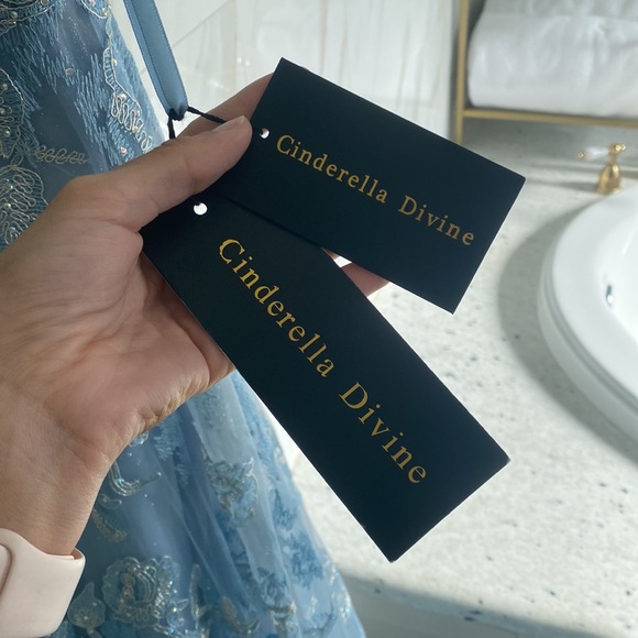 Blue Cinderella Dress - Picture 8 of 8